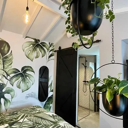 Royal Guest house Zandvoort