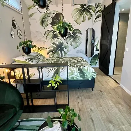 Royal زاندفورت