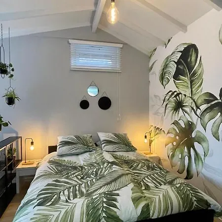 Royal Guest house Zandvoort